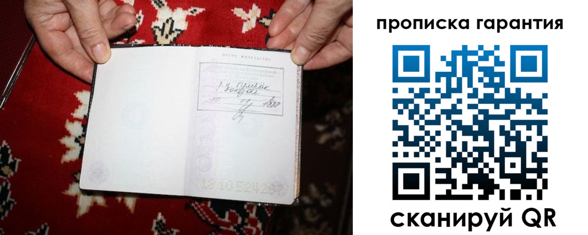 прописка гарантия в Бородино